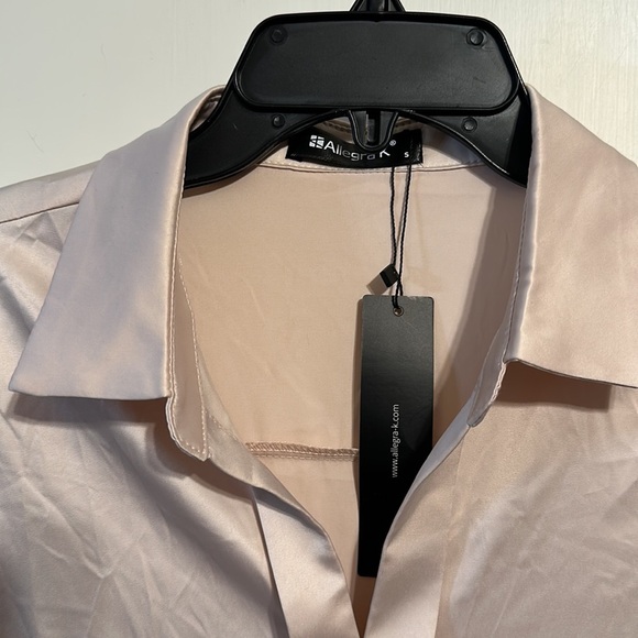 Allegra K Women's Elegant Blush Mauve Pink Long Sleeve Office Work Satin Blouse - Picture 7 of 9